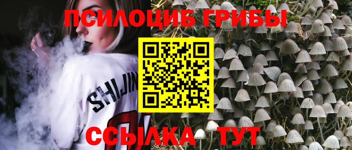 Псилоцибиновые грибы MAGIC MUSHROOMS  Псилоцибиновые грибы мицелий  Звенигород  хочу наркоту  Вход с VPN 