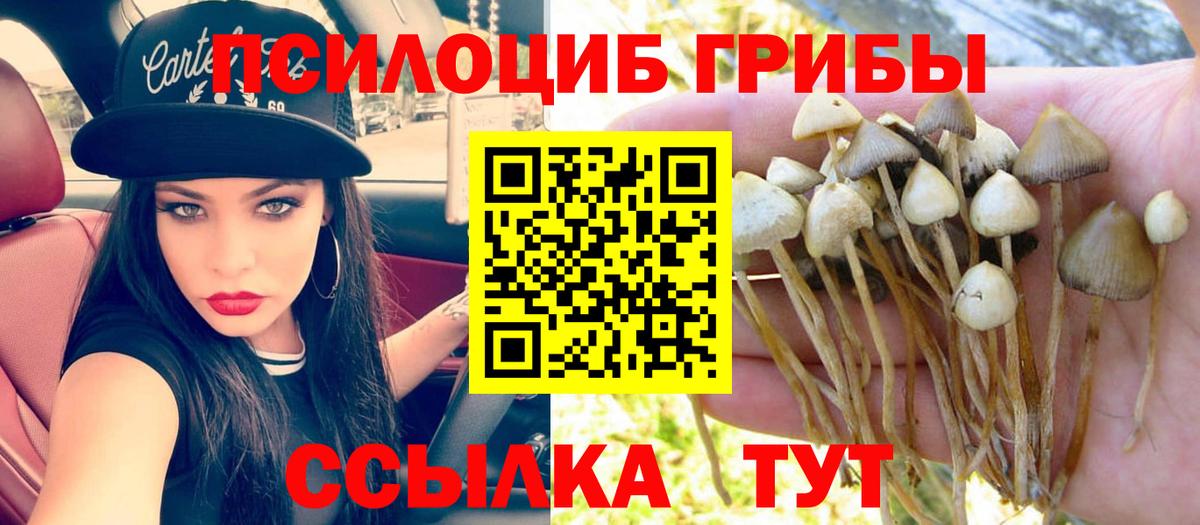 Псилоцибиновые грибы ЛСД Звенигород